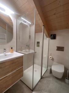 a bathroom with a shower and a toilet and a sink at Apartamentos Turísticos: Tu casa en Sahún in Sahun