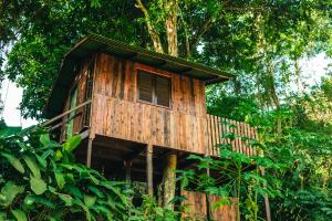 a tree house in the middle of the forest at Fazenda Alegria Camping & Aventura in Rio de Janeiro