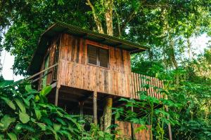 ein Baumhaus mitten im Wald in der Unterkunft Fazenda Alegria Camping & Aventura in Rio de Janeiro