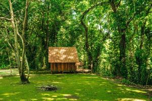 ein kleines Holzgebäude mitten im Wald in der Unterkunft Fazenda Alegria Camping & Aventura in Rio de Janeiro