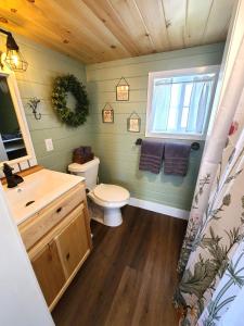a bathroom with a toilet and a sink and a mirror at Tiny Digs Lakeshore - Tiny House Lodging in Muskegon