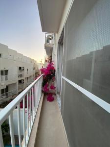 un balcón con flores rosas en un edificio en St Julians Apt with Pool en San Julián