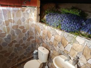 Koupelna v ubytování Glamping con jacuzzi en Latacunga