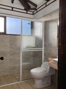 イサにあるCabaña Villalmiraのトイレとガラスのシャワー付きのバスルーム