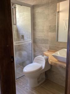 伊薩的住宿－Cabaña Villalmira，浴室配有卫生间、淋浴和盥洗盆。