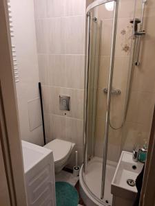 ワルシャワにあるSady Flatのバスルーム(シャワー、トイレ、シンク付)