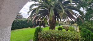 A garden outside Villa La Finca