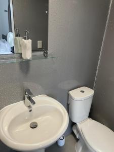 a bathroom with a sink and a toilet and a mirror at River side rooms in Southampton