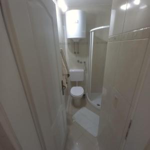 a small bathroom with a toilet and a shower at Apartment & studio Elizabet in Baška