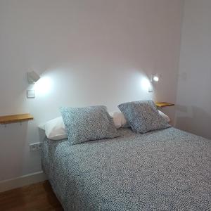 1 dormitorio con 1 cama con 2 almohadas en VUT Casa de la Catedral Baja, en Sigüenza