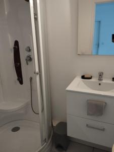 A bathroom at studio charmant canapé lit Netflix Prime video wifi