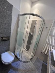 a glass shower in a bathroom with a toilet at Cozy City Center Apartments in Vienna