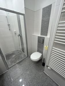 a bathroom with a toilet and a glass shower at Cozy City Center Apartments in Vienna