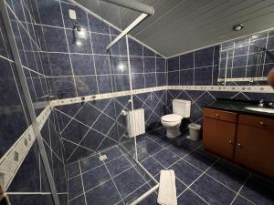 Baño de azulejos azules con aseo y lavamanos en Pousada Suíça, en Canela