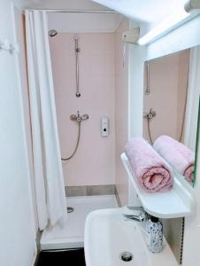 uma casa de banho com um lavatório, um chuveiro e um espelho. em Appartement cosy centre-ville. em Perpignan