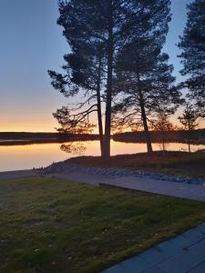 a sunset over a lake with two trees and a sidewalk at VillaNorva in Saarenkylä +35 photos