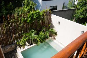 a swimming pool with a wooden fence and plants at Yax Kiin Casa Boutique in Puerto Morelos