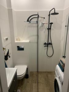 a bathroom with a shower and a toilet at Rabarbar in Ustroń