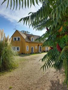 a yellow house with a palm tree in front of it at Villa suzana in La Suze-sur-Sarthe