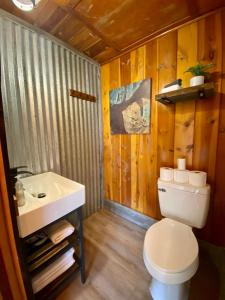 uma casa de banho com um WC branco e um lavatório. em Cabin 8 at Horse Creek Resort em Rapid City