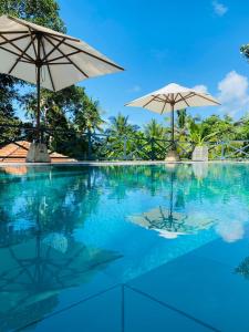 阿漢伽馬的住宿－Ebony Boutique Villa，游泳池的顶部设有两把遮阳伞