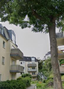 un bâtiment avec des balcons et un arbre en face de celui-ci dans l'établissement Apartment Prestige 2, à Dresde