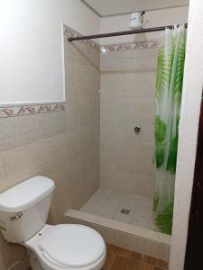 y baño con aseo y ducha. en Hotel Posada Don Papagon, en Antigua Guatemala