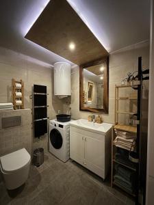 a bathroom with a sink and a washing machine at Pine Cabins Zlatibor in Zlatibor