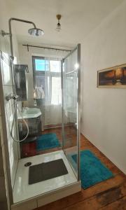 een douche in een badkamer met blauwe tapijten bij Historisches Badehaus in Hoym