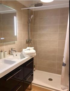 a bathroom with a sink and a shower at Studio Confort centre ville in Bordeaux