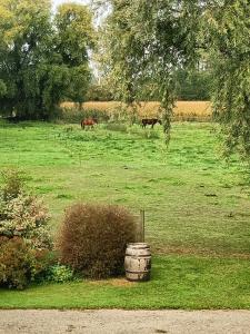 Zahrada ubytování Relais de Moidrey