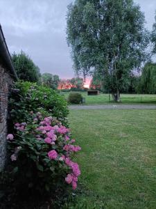 Zahrada ubytování Relais de Moidrey