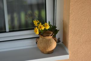 Foto sihtkohas Čačak asuva majutusasutuse Little Nook galeriist