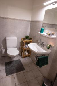 La salle de bains est pourvue de toilettes blanches et d'un lavabo. dans l'établissement Ferienwohnung Frostenegg, 