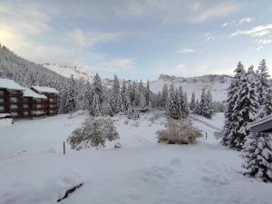 a snow covered field with trees and a lodge at Cocon Alpin - Praz de Lys Sommand in Mieussy