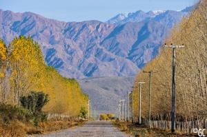 チレシトにあるApart Entre Vallesの木山を背景とした未舗装道路