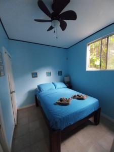 a blue bedroom with a bed with a ceiling fan at Roatan Backpackers' Hostel in Sandy Bay