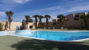 - une piscine dans un complexe avec des palmiers dans l'établissement Paraiso 46, à Parque Holandes
