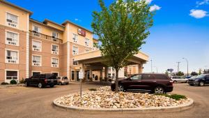 Best Western Plus South Edmonton Inn & Suites في إيدمونتون: شجرة في كومة من الصخور أمام مبنى