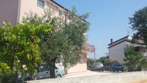 a building with a tree in front of a street at Apartment Studio Baric in Poreč
