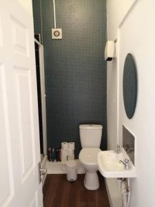 La salle de bains est pourvue de toilettes et d'un lavabo. dans l'établissement Perfect apartment - close to the train station, à Cork