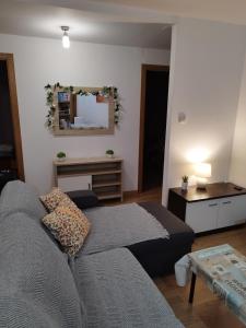 uma sala de estar com um sofá e um espelho em Precioso Apartamento en Baiona Zona Centro em Baiona