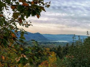 uma vista para um vale com montanhas à distância em Barkóca és Szépkilátás Vendégház / Cabin em Kismaros