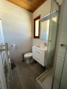 a bathroom with a toilet and a sink and a shower at Chalet Saint-Patrick - Le Famillial in Vars