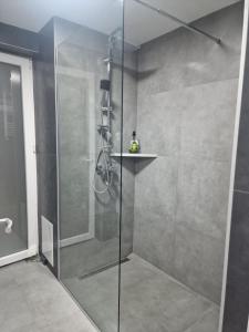 a shower with a glass door in a bathroom at Bright, modern - 2 bedroom condo in Skopje