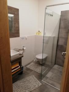 ein Bad mit einer Dusche, einem WC und einem Waschbecken in der Unterkunft Haus Bergjuwel in Huben