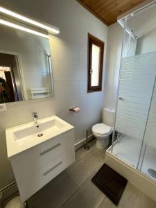 a bathroom with a sink and a toilet and a mirror at Chalet Saint-Patrick - Le Convivial in Vars