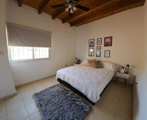 een slaapkamer met een bed met een tapijt en een plafondventilator bij Departamento Alto Malbec in La Cieneguita