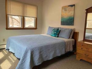 ein Schlafzimmer mit einem Bett, einer Kommode und zwei Fenstern in der Unterkunft Bass Creek's Apt B Front in Afton