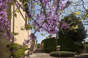Zahrada ubytování Relais Della Rovere
